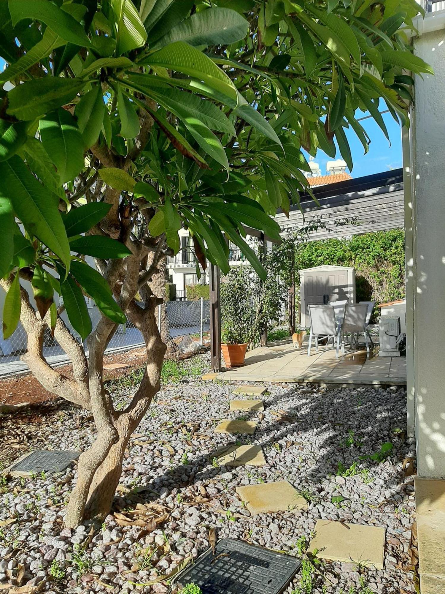 H&O Royal Townhouse In Center Paphos Apartment Exterior photo